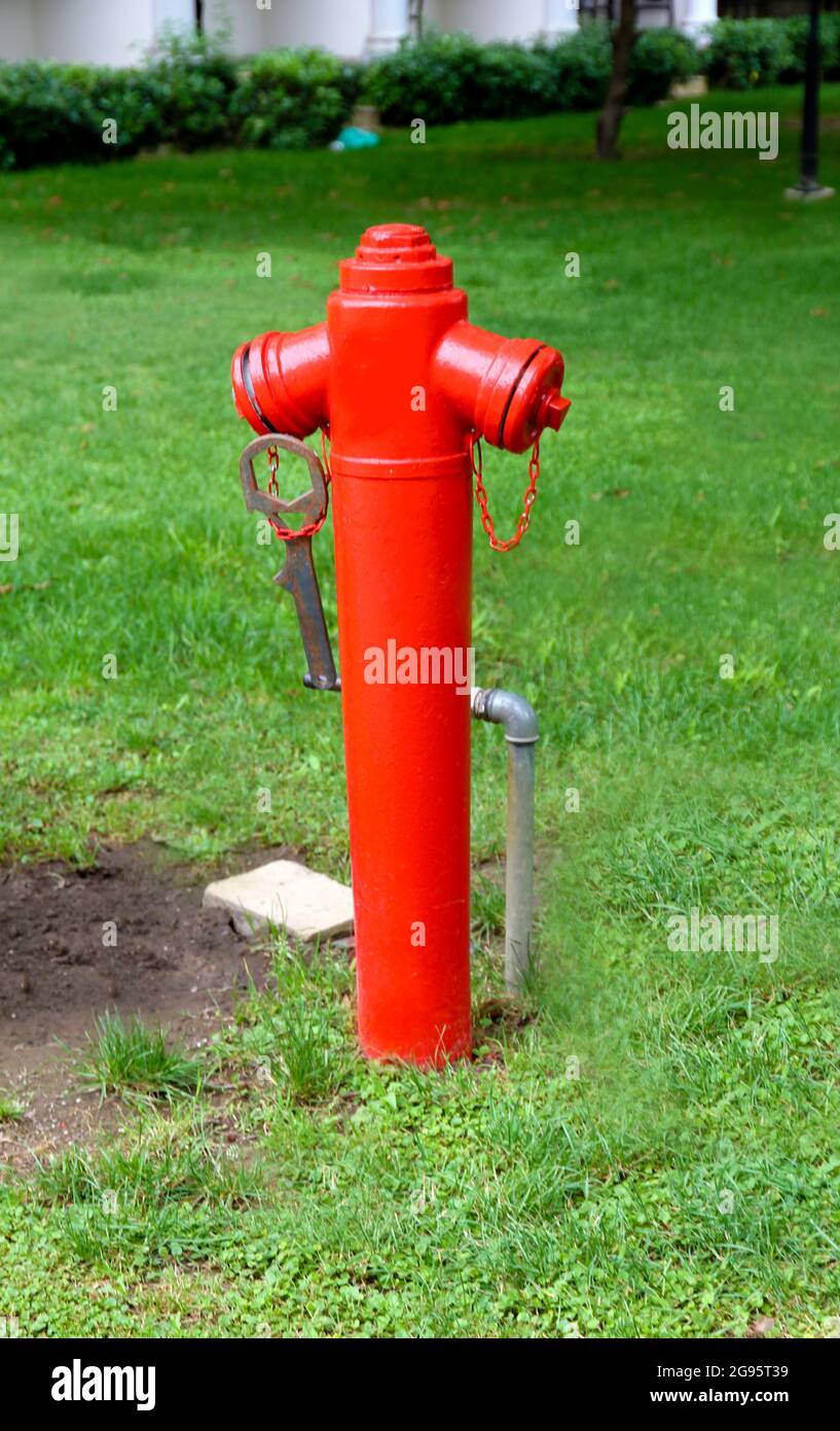 Red water hydrant on lawn Stock Photo - Alamy