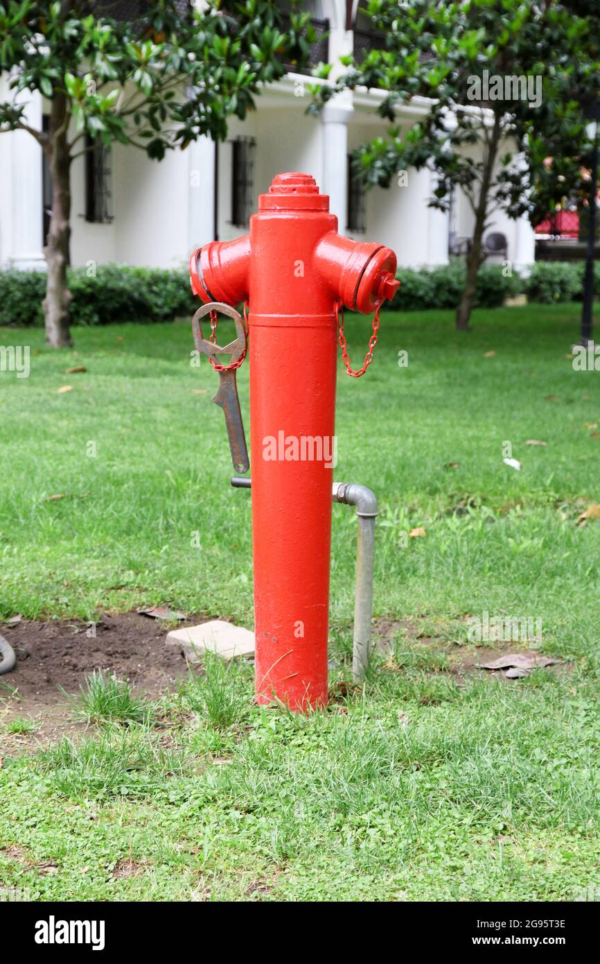 Red water hydrant on lawn Stock Photo Alamy