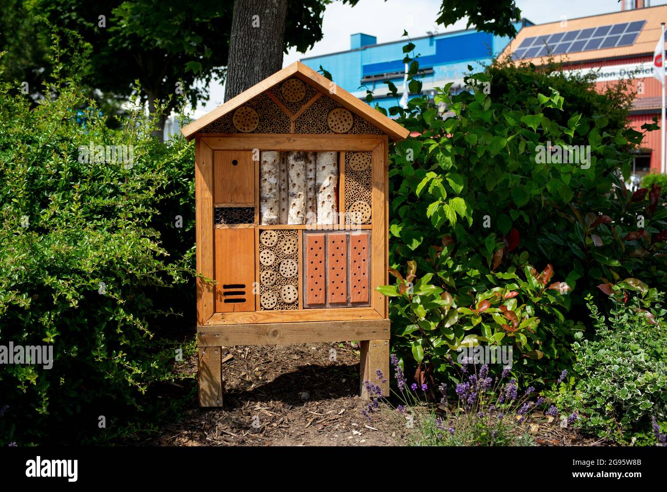 A bee and insect hotel situated in Southampton City Centre to help the environment and local wildlife population. Stock Photo