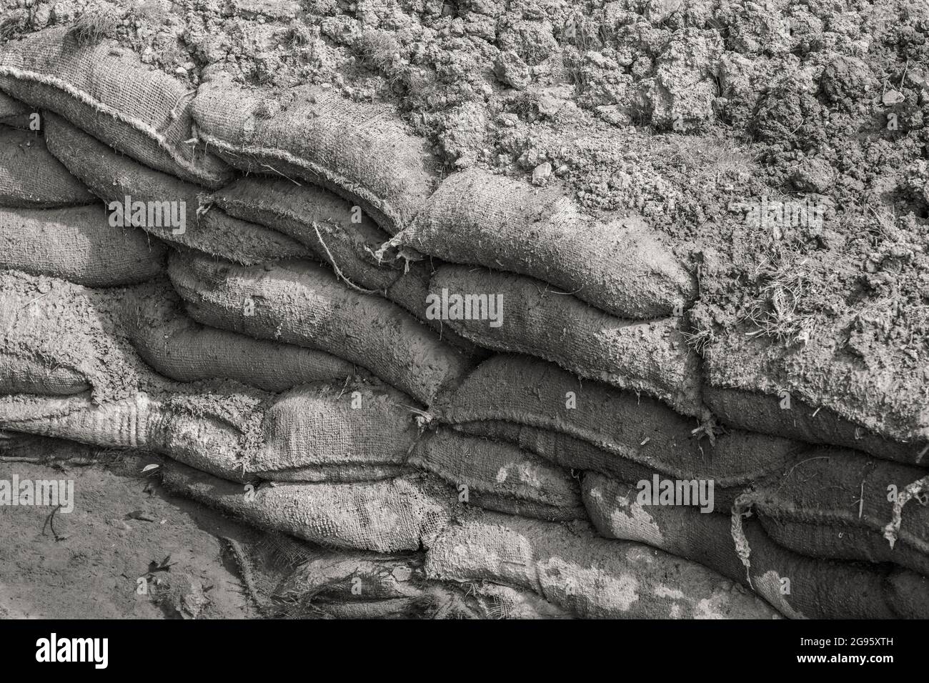 Stacked jute hessian sandbags covered by thick layer of topsoil & some flood water. Part of water erosion control efforts but useful for WW1 trenches Stock Photo