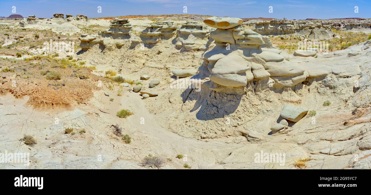 Field of hoodoos in Goblin Garden in the Flat Tops of Petrified Forest National Park Arizona. Stock Photo