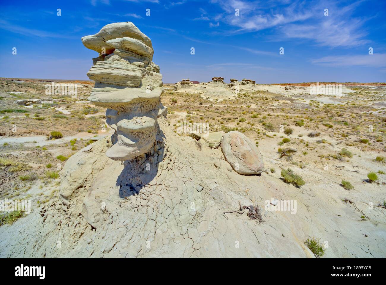 Field of hoodoos in Goblin Garden in the Flat Tops of Petrified Forest National Park Arizona. Stock Photo