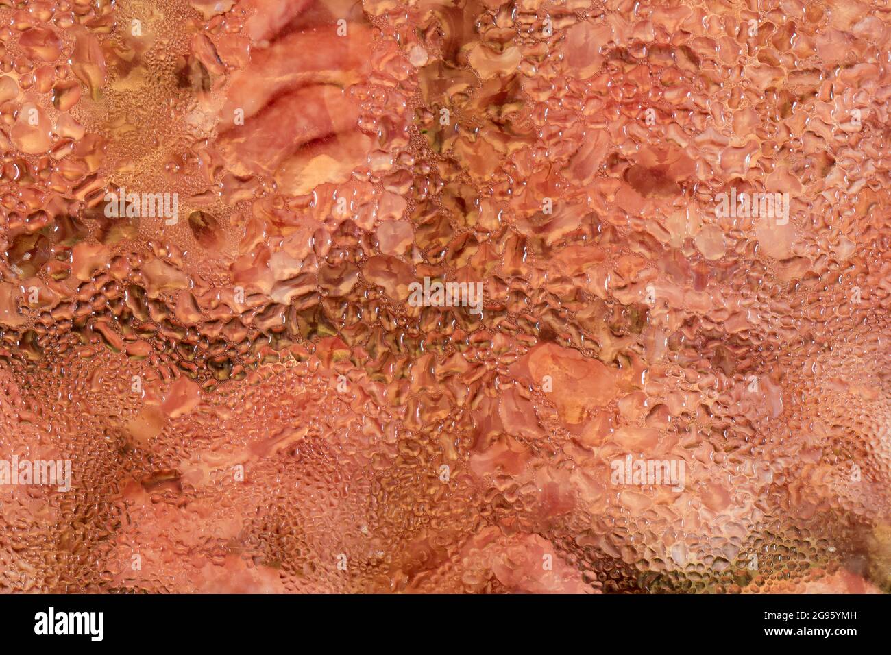 Abstract water condensation on a defrosting pack of supermarket mince meat.  Sort of reminds me of the menacing transparent eggs in the old Alien movie  Stock Photo - Alamy