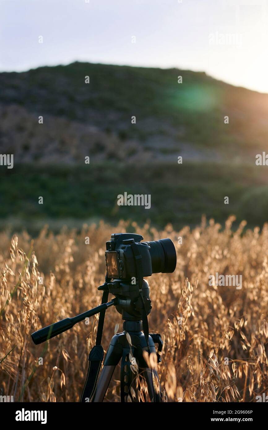 Camera on a tripod in a meadow at sunset Stock Photo - Alamy