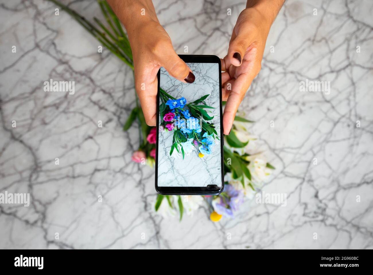 Anonymous florist taking photo of flowers in studio Stock Photo Alamy
