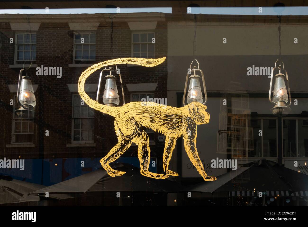Illustration of Rudyard Kipling's monkey in the window of Mowgli Indian Street Food restaurant on Bold Street in Liverpool Stock Photo