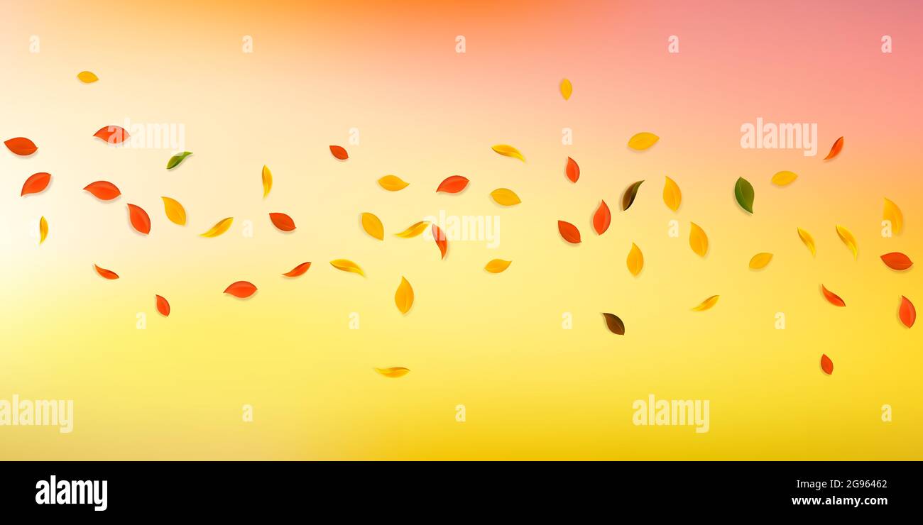 Falling autumn leaves. Red, yellow, green, brown random leaves flying ...