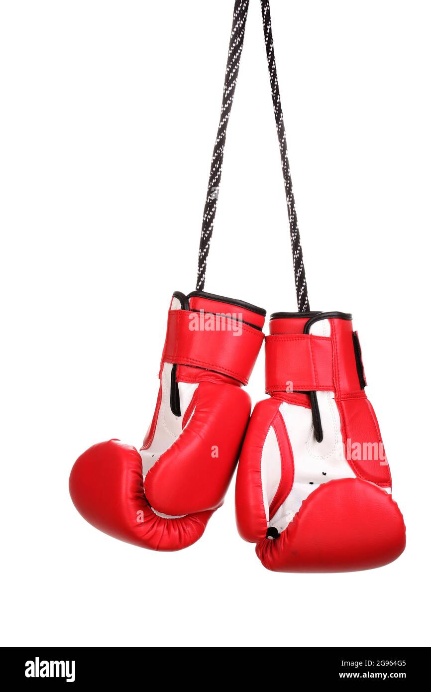 Red boxing gloves hanging isolated on white Stock Photo Alamy