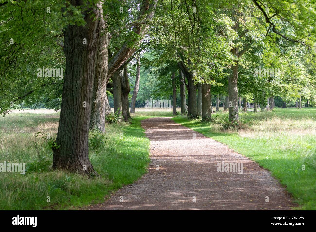 Park in worms city. Bright and shiny day, Germany Stock Photo