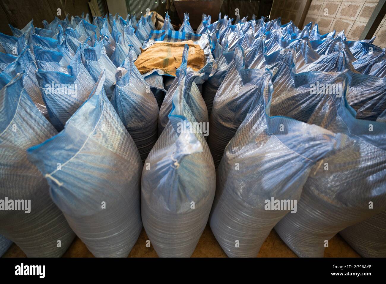 Sacks full of rice in a factory Stock Photo - Alamy