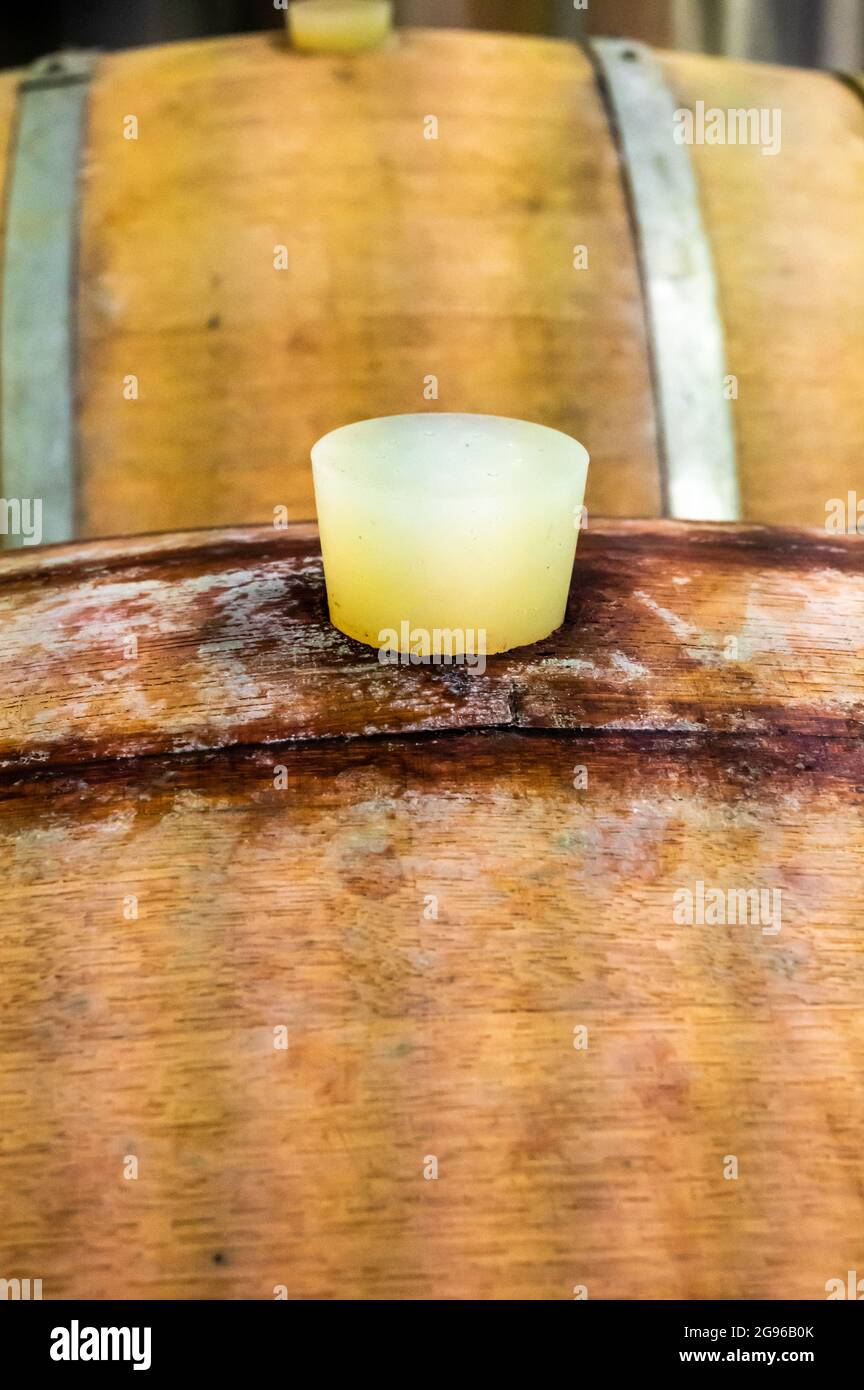 Traditional champagne sparkling wine making process in wooden barrels