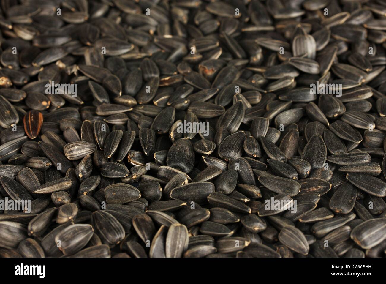 sunflower seeds background Stock Photo Alamy