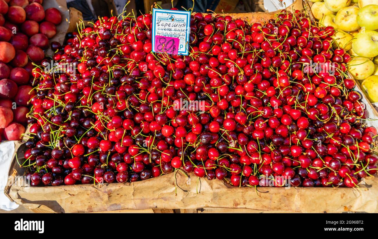 Fresh wild cherries sold at 80 rubles a kilo, or USD 11, at the Sennoy market, the cheapest one in St. Petersburg, Russia Stock Photo