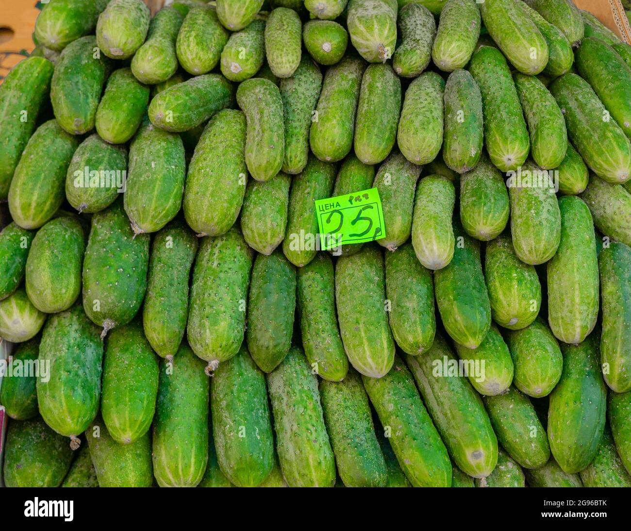 Fresh cucumbers sold at 25 rubles a kilo, or USD 3, at the Sennoy market, the cheapest one in St. Petersburg, Russia Stock Photo