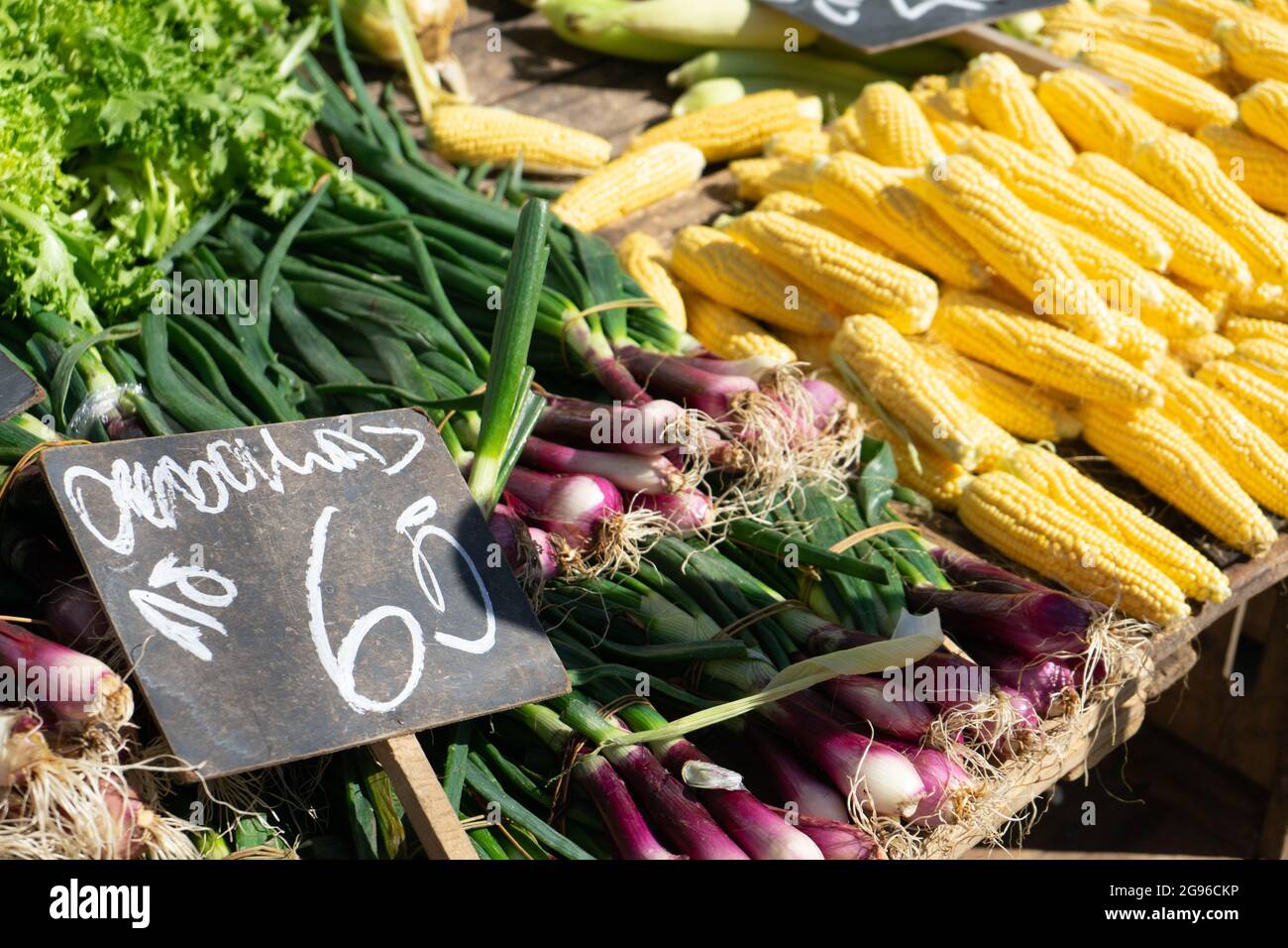 Vegetables for sale at street fair. Montevideo, Uruguay Stock Photo