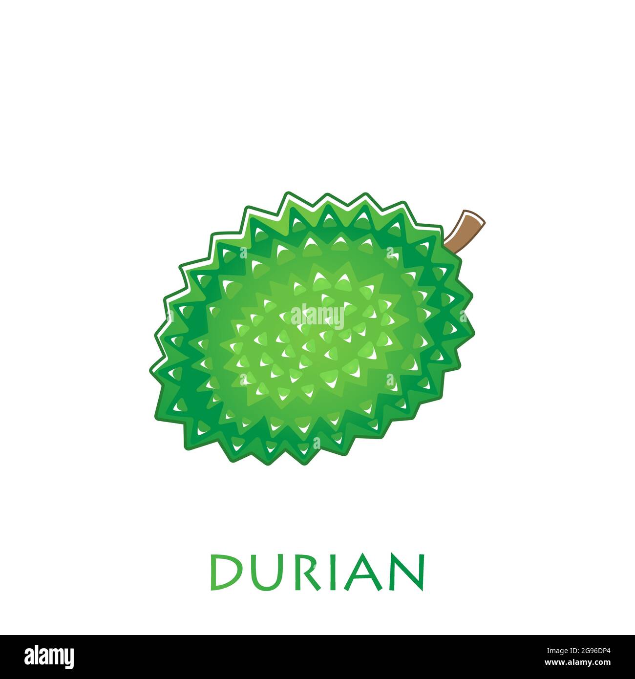 King of fruits, durian. Vector illustration cartoon flat icon isolated on white. Stock Vector