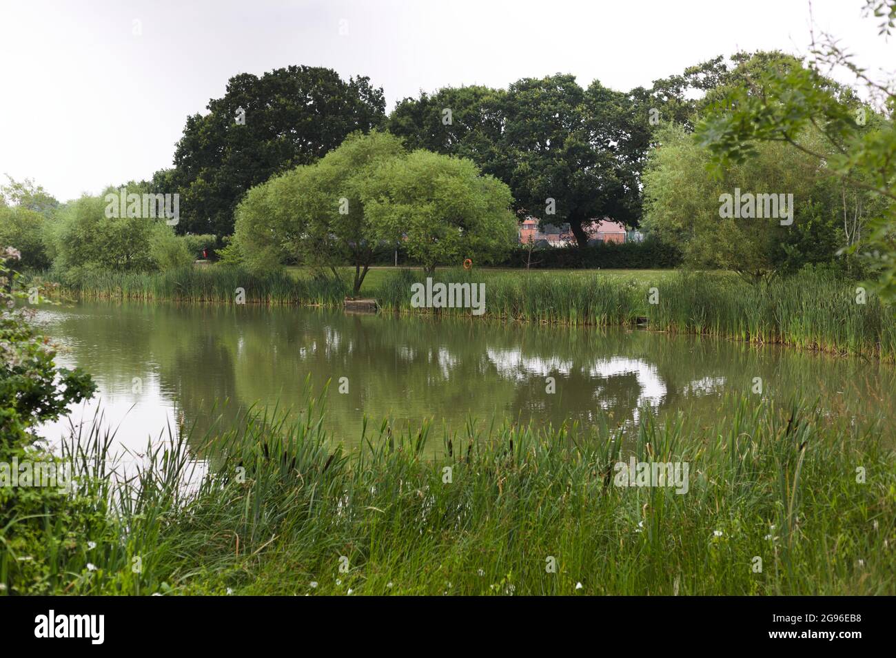 Northlands Park Lakes, Pitsea, Essex, Britain, July 2021 Stock Photo