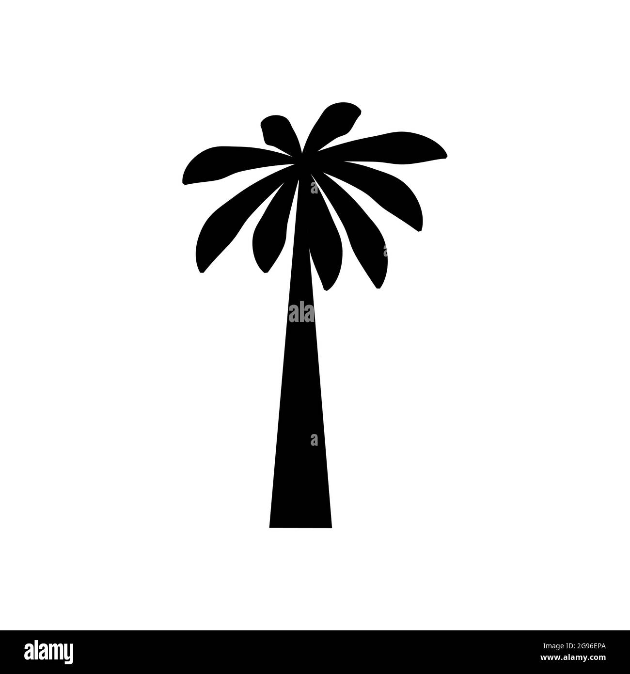 tropical palm trees with leaves, mature and young plants, black ...