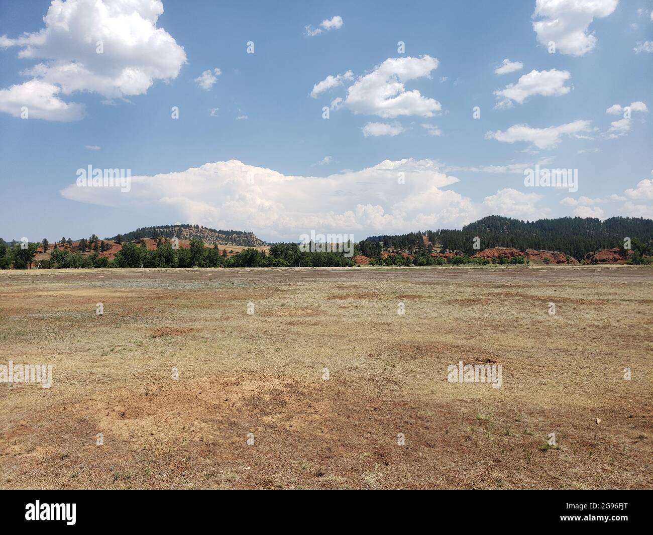 Prairie Dog Town, Devil's Tower National Monument, Wyoming Stock Photo ...