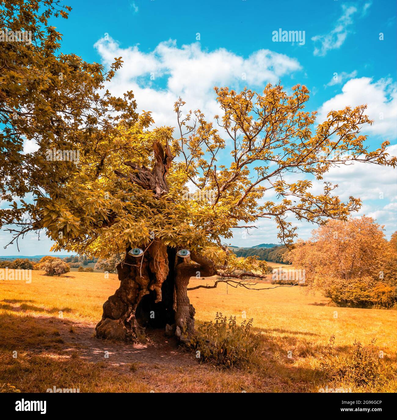 Ent lord of the rings hi-res stock photography and images - Alamy