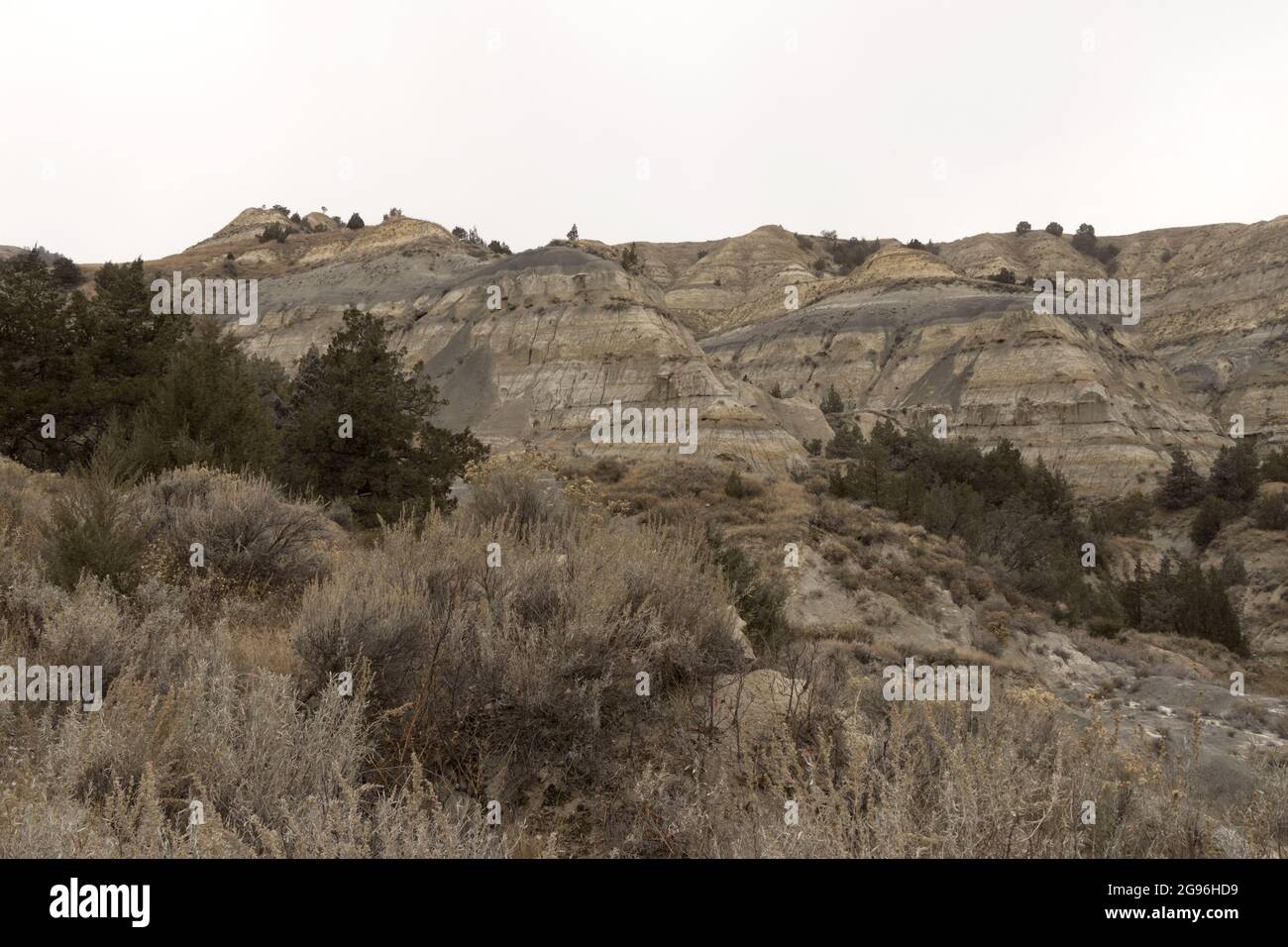 Theodore Roosevelt national park in North Dakota Stock Photo Alamy
