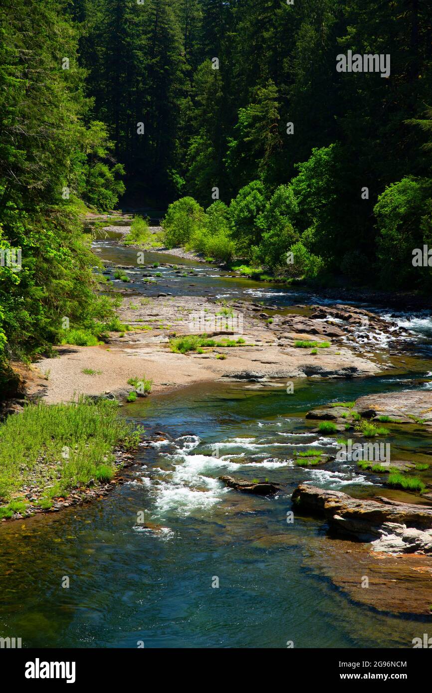 South Santiam River, Cascadia State Park, Oregon Stock Photo Alamy