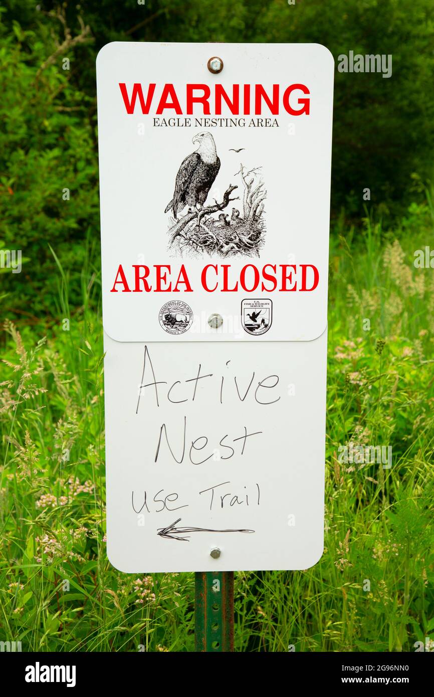 Bald eagle nest sign, Ankeny National Wildlife Refuge, Oregon Stock Photo