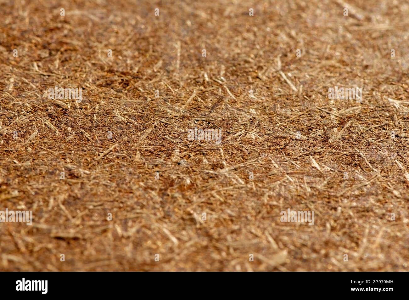 Plywood, pressed wooden panel, particle board texture background