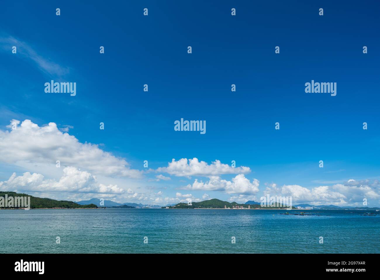 Ling chi hi-res stock photography and images - Alamy