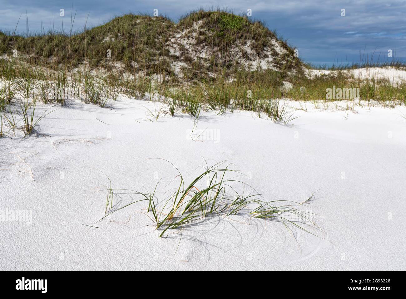 White Sand Dunes, Airman's Beach, Okaloosa Island, Florida, USA Stock Photo