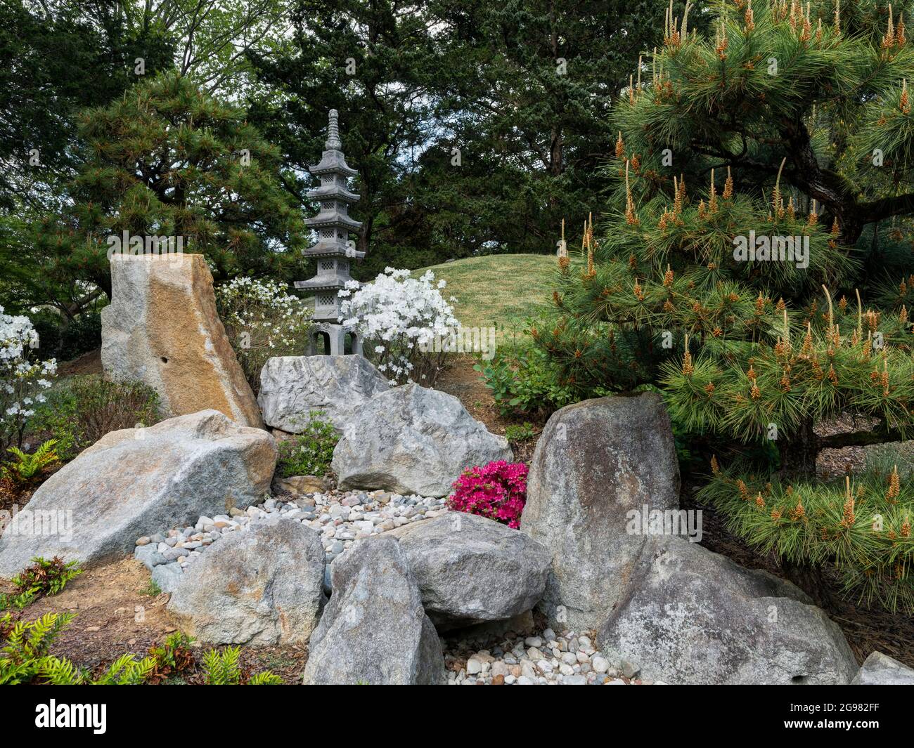 Japanese Garden at Cheekwood Estate and Gardens, Nashville, Tennessee, USA Stock Photo