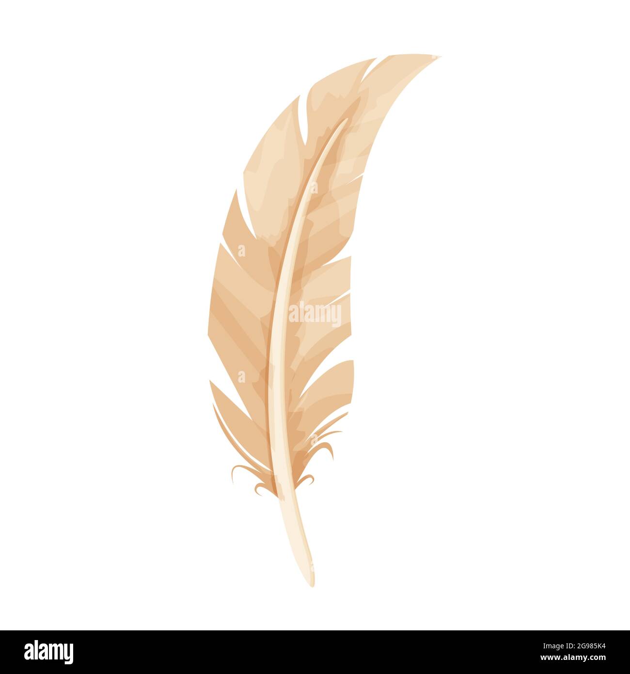 Bird feather, ancient quill in cartoon style isolated on white background. Writing tool, equipment. Decoration element. Vector illustration Stock Vector