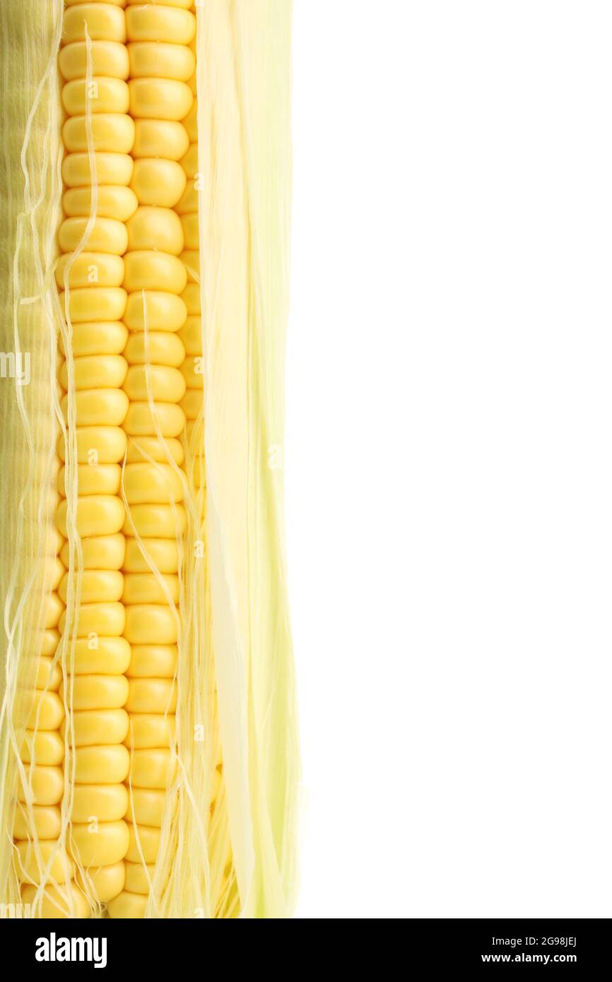 fresh corn, isolated on white Stock Photo - Alamy