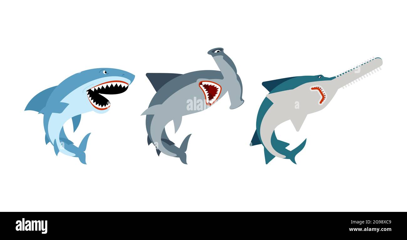 Shark set. Marine predator collection. Hammerhead shark and saw fish