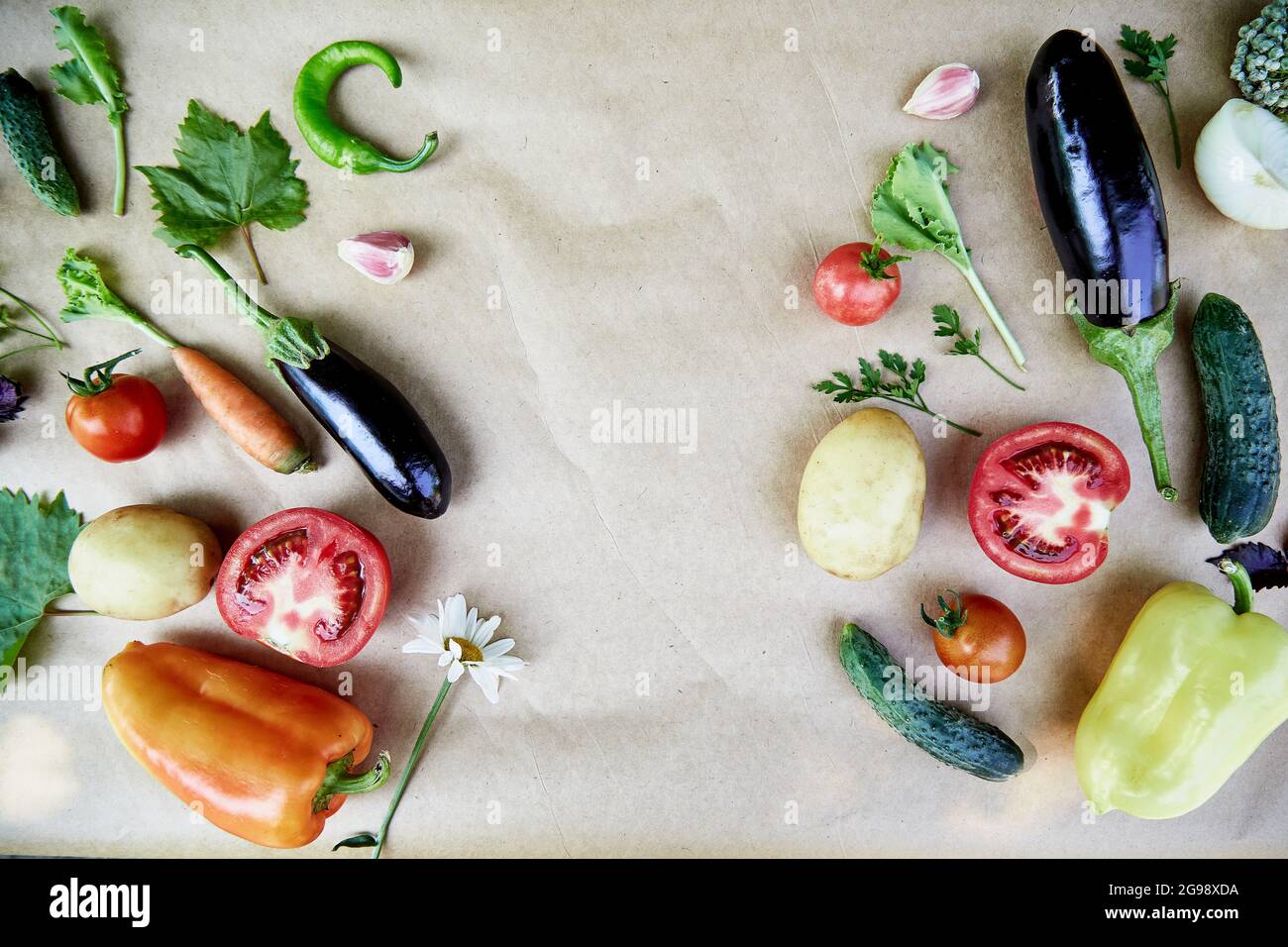 Vegetable frame: beet, basil, eggplant, parsley, bell pepper, hot pepper, potatoes, cucumber, carrots. Italian vegetable recipe. Veganism concept food.Top view, copy space. High quality photo Stock Photo
