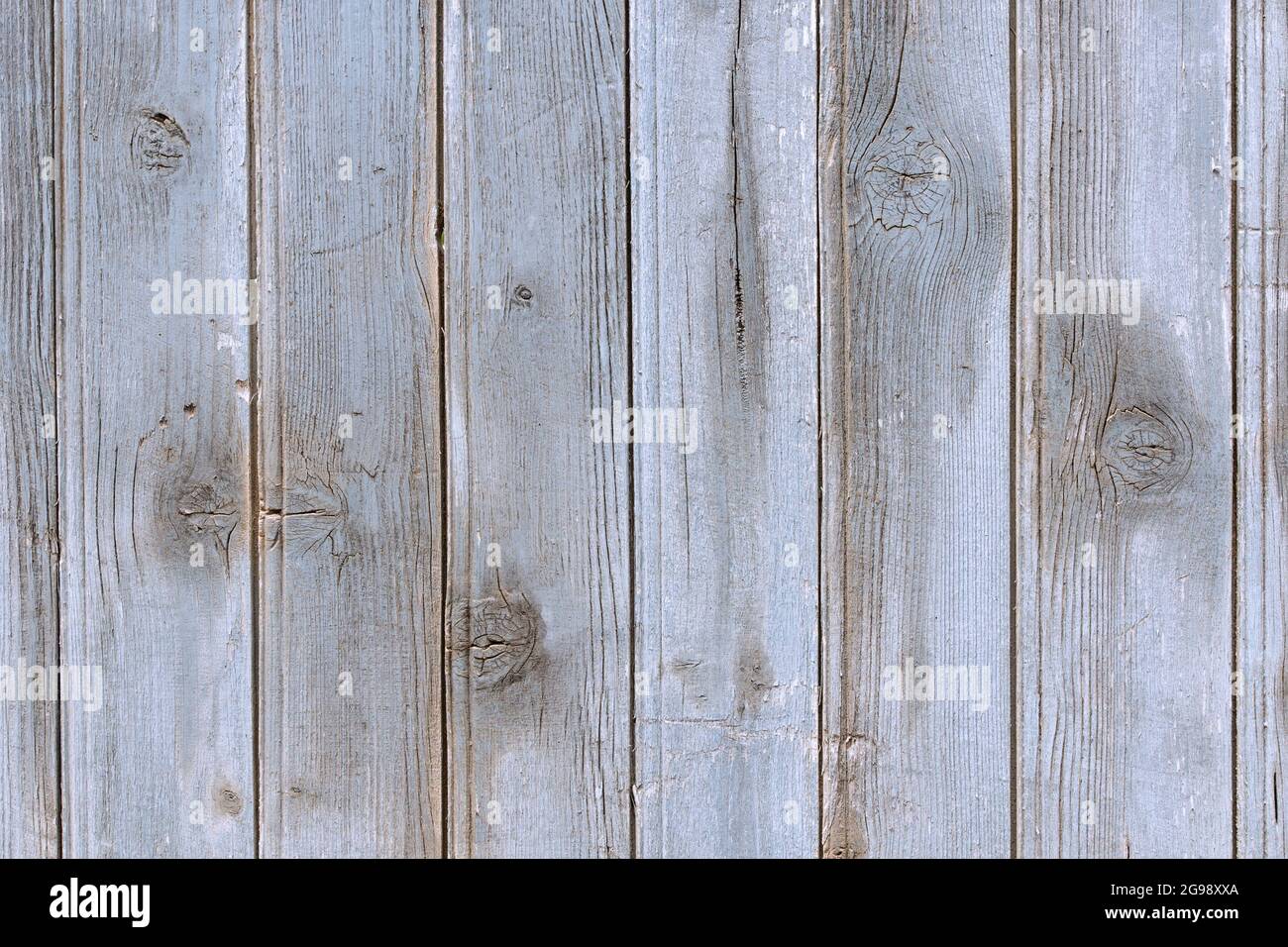 old spruce planks texture, background with knots on wood Stock Photo