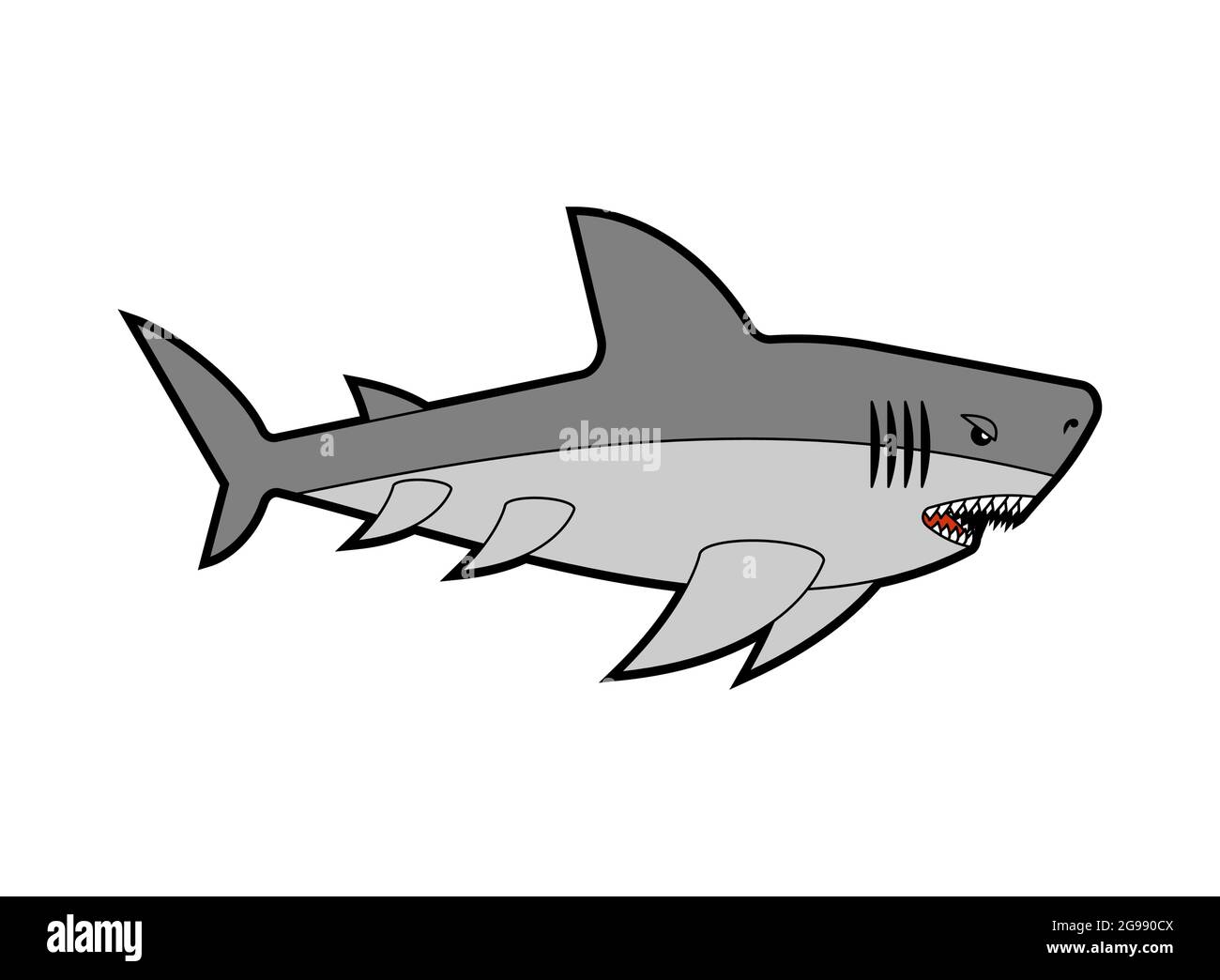 Shark isolated. Sea predator. Large predatory marine fish. vector ...