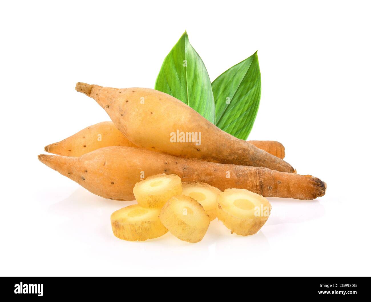 Fingerroot with leaf on white background Stock Photo - Alamy