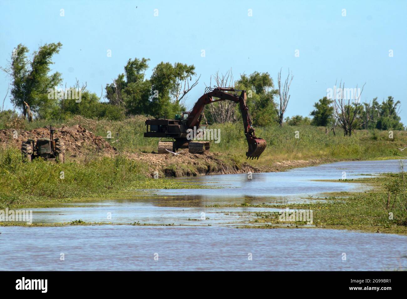 An excavator digging a pond in a swamp Stock Photo Alamy