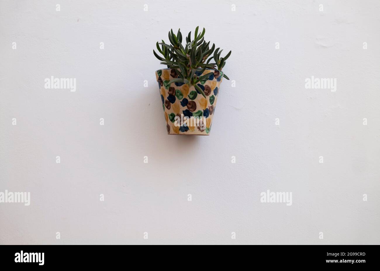 A traditional spanish flowerpot on a white wall Stock Photo Alamy