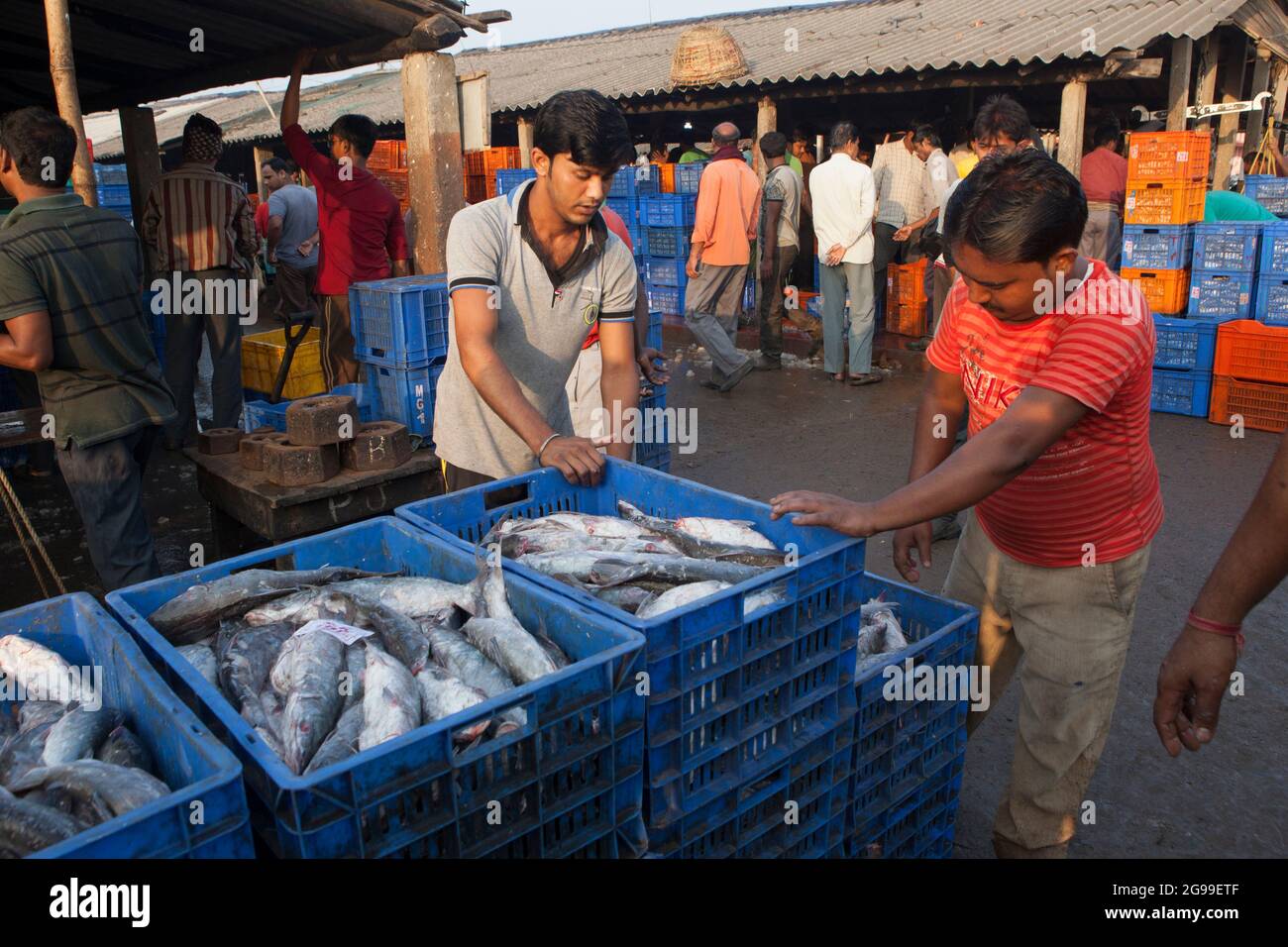 Wholesale fish market outlet