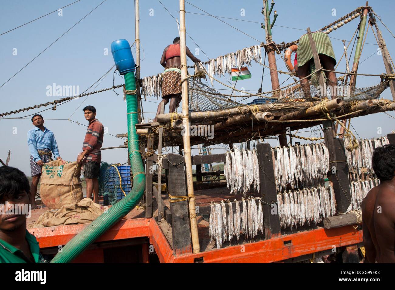 fish are being dried in sunlight to prepare sundry fish in trawlers