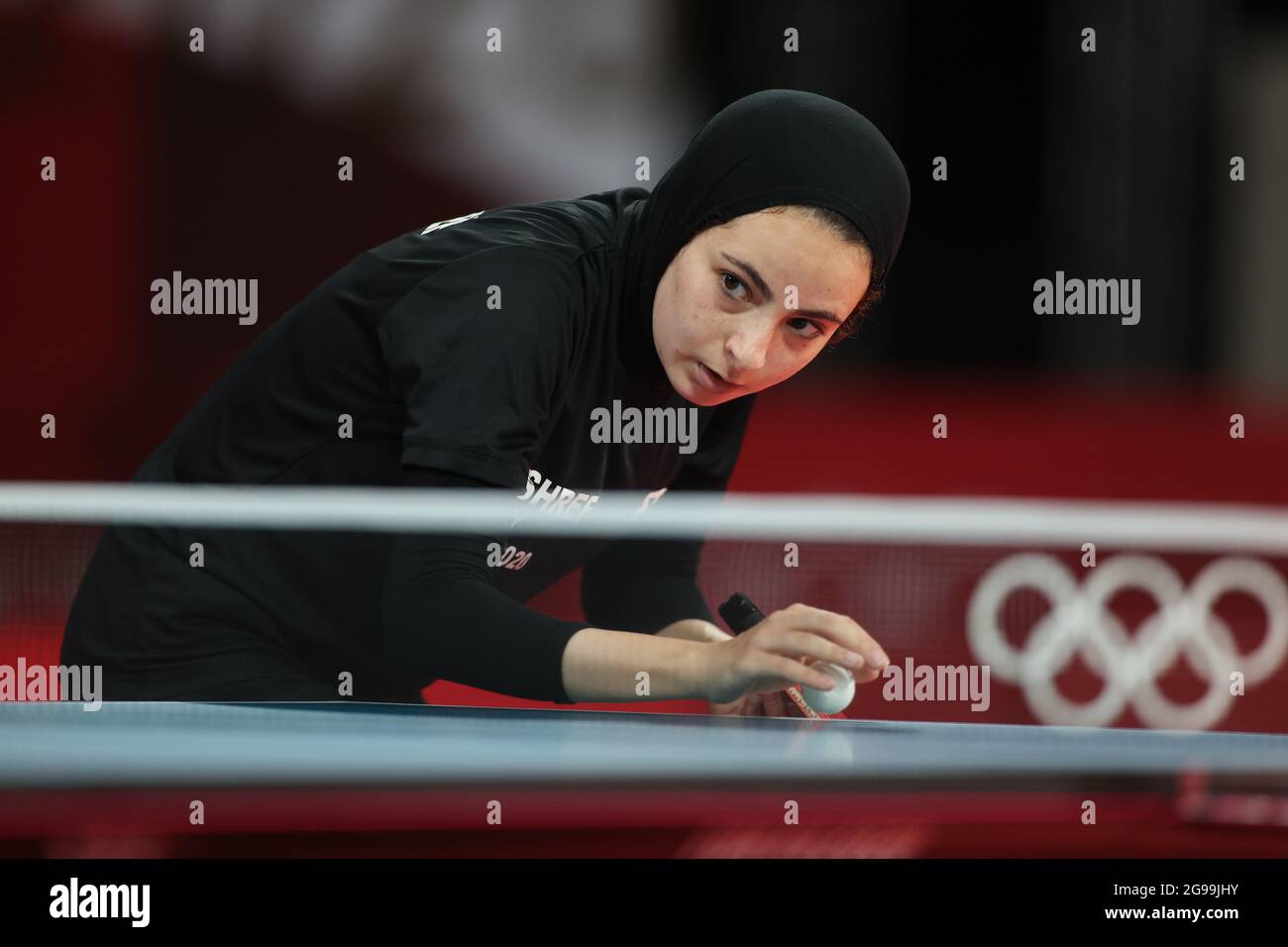 Dina meshref hi-res stock photography and images - Alamy