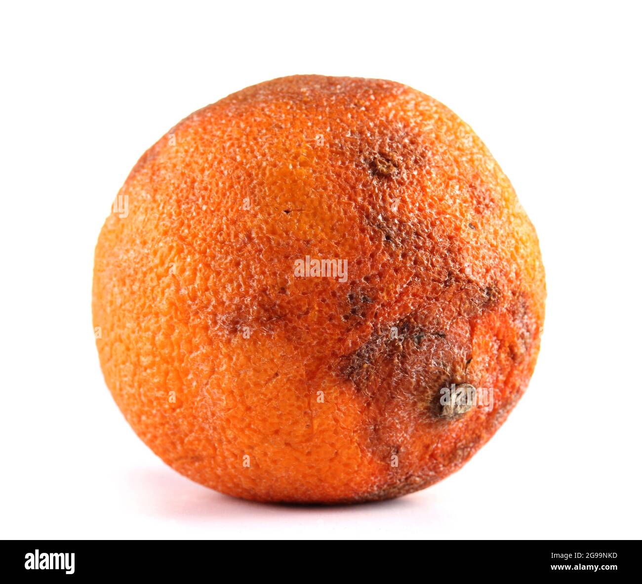 Rotten orange isolated on white Stock Photo Alamy