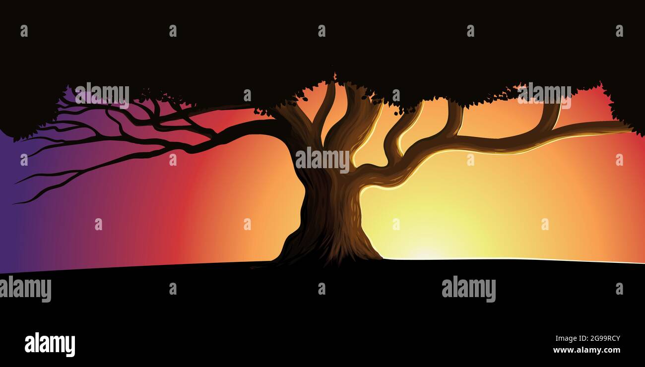 Silhouette of a lone tree against a beautiful sunset. Background nature ...