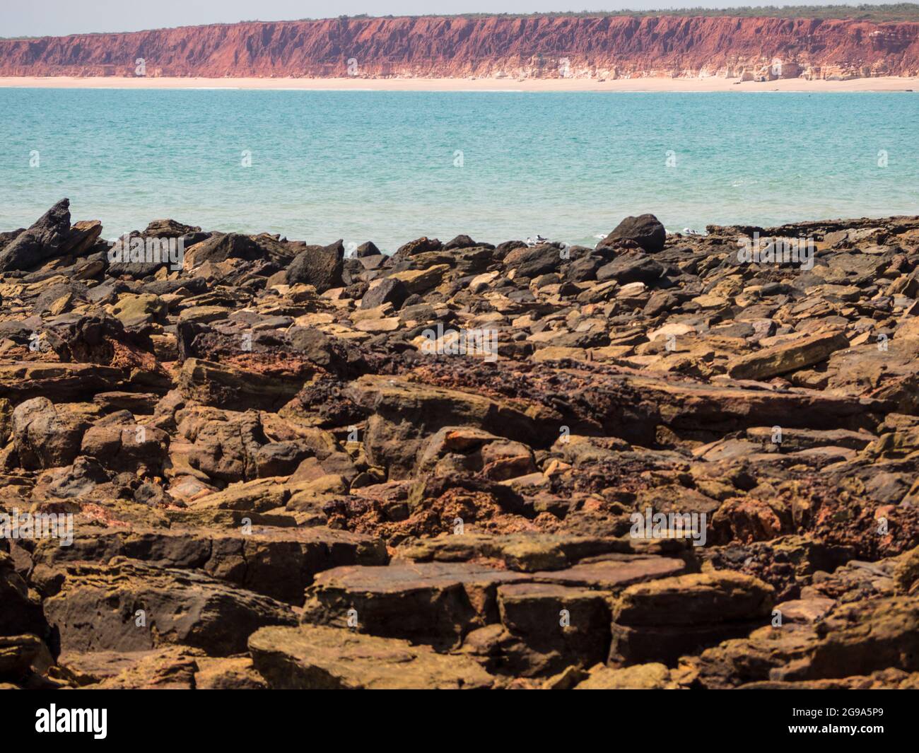 Red Pindan Cliffs And Low Tide At Walmadan James Price Point Dampier 