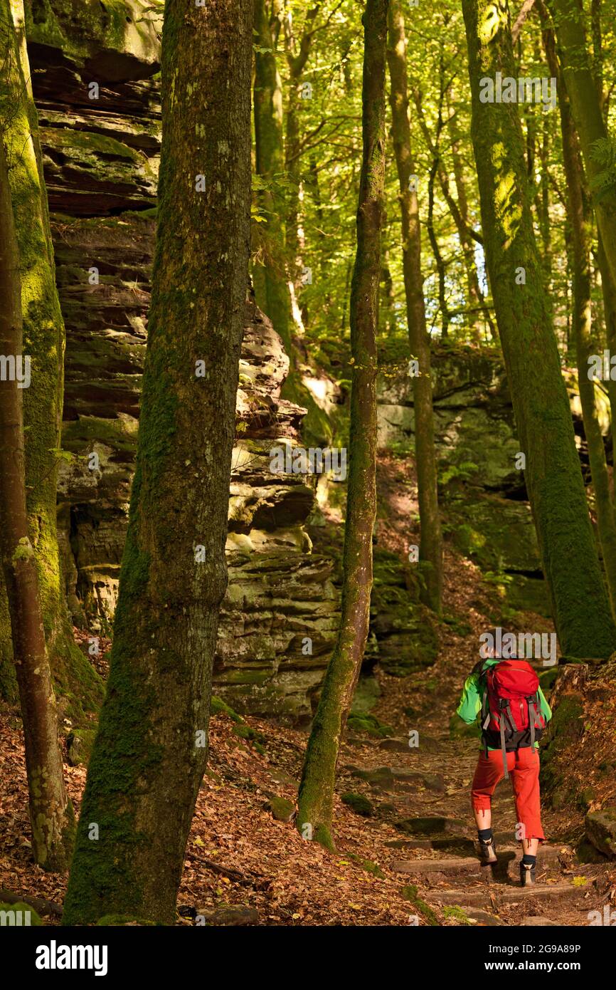 woman hiking through the forest in Berdorf Stock Photo