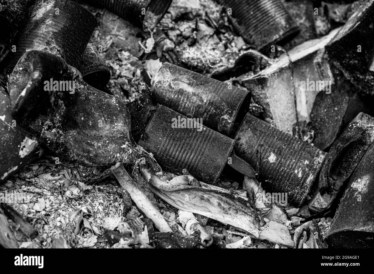 Burning rubbish on a bonfire containing metal tin cans Stock Photo