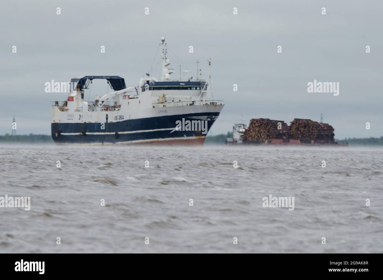 May 2021 - Arkhangelsk. Fishing boat 'Daria' and a tug with a forest. River rafting. Russia, Arkhangelsk region Stock Photo