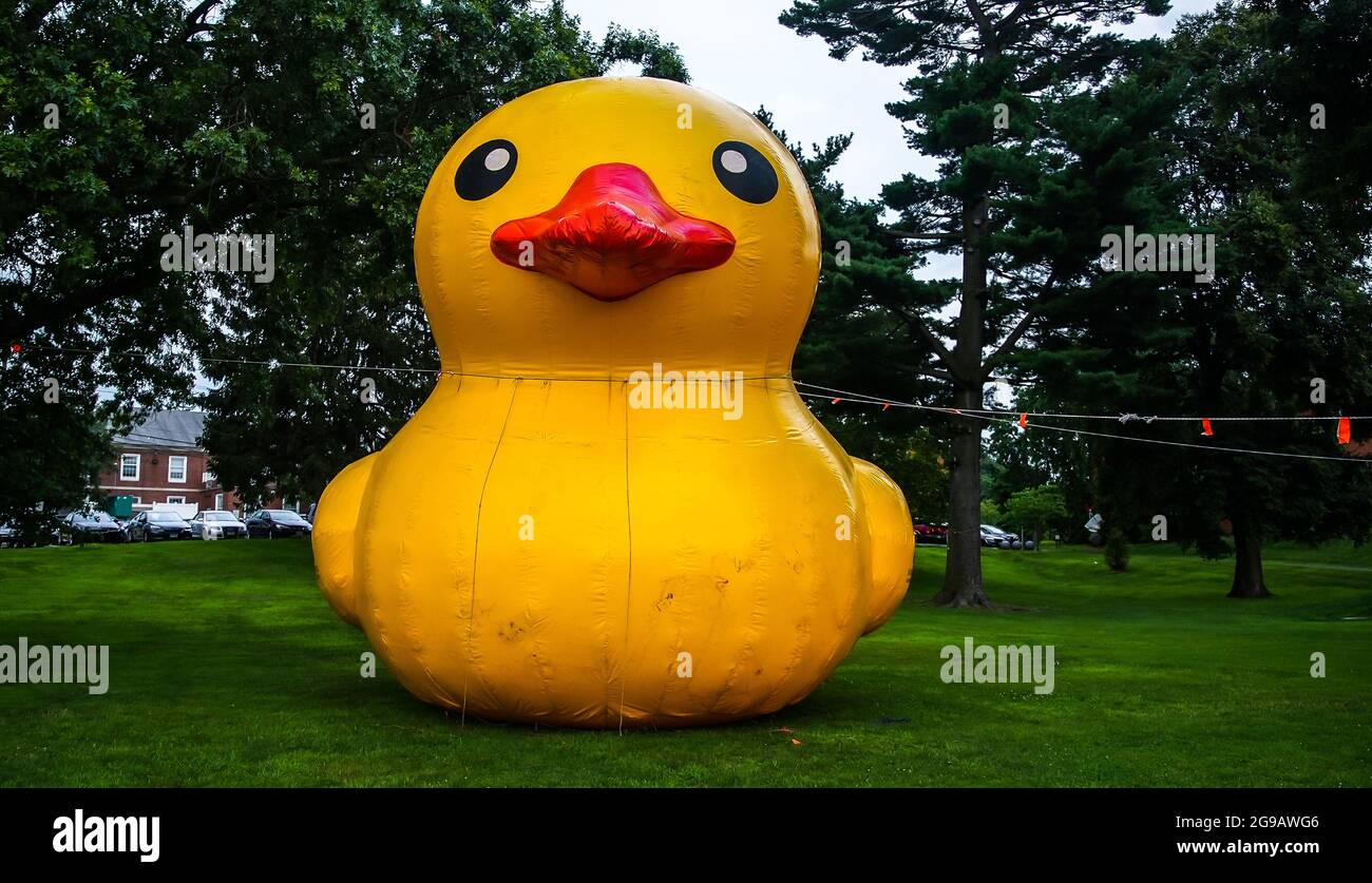 WESTPORT, CT, USA - JULY, 24, 2021: Symbolic big yellow duck near library for The Great Duck Race Stock Photo